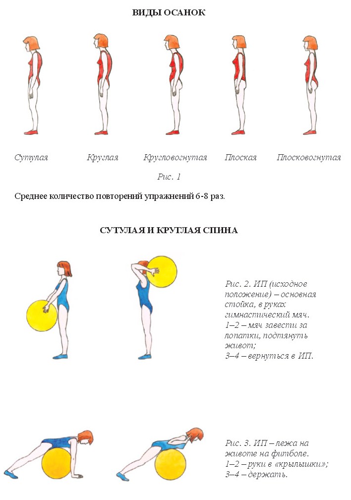 Uprazhneniya S Fitbolom Dlya Pozvonochnika I Pressa