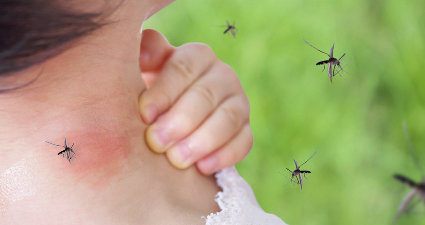 аллергия на укус насекомых.jpg