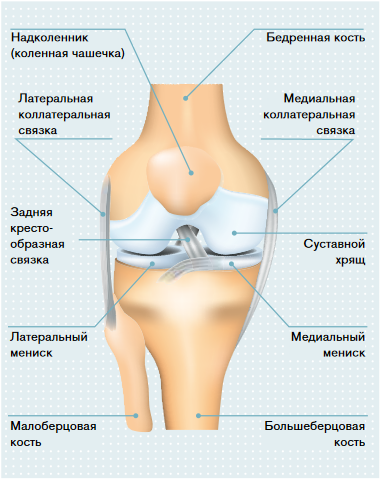 Боль и хруст в колене